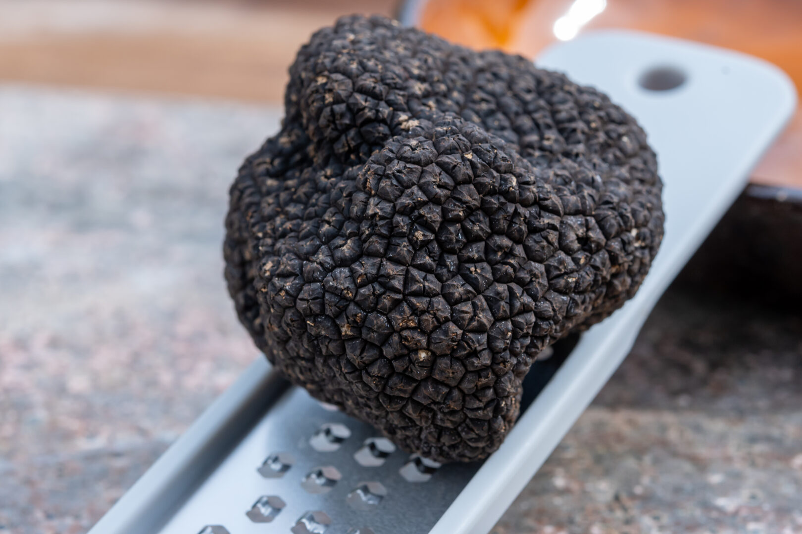 Truffe noire du Périgord posée sur une râpe de cuisine.